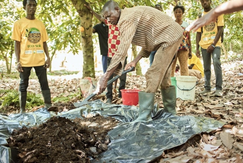 ECO-SOIL: Enhancing Conservation of Soil Organic Lifeforms as Bioindicators in the Lake Bosomtwe Biosphere Reserve — photo 3