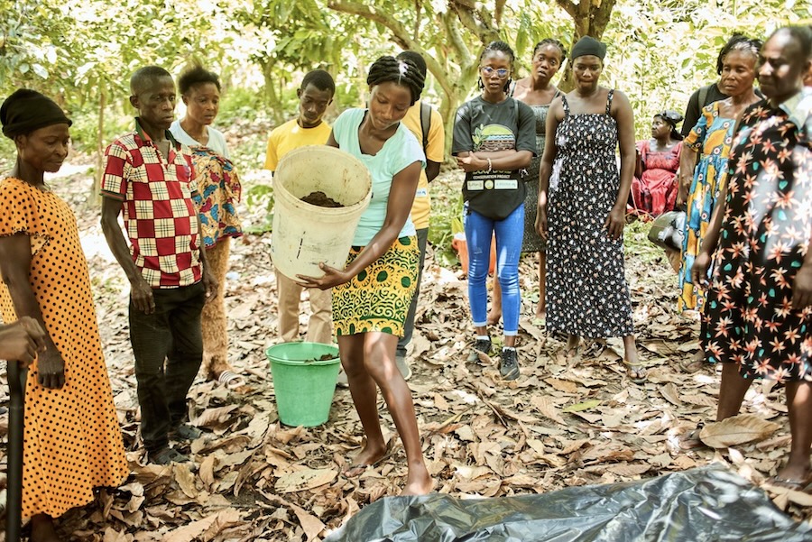 ECO-SOIL: Enhancing Conservation of Soil Organic Lifeforms as Bioindicators in the Lake Bosomtwe Biosphere Reserve — photo 5