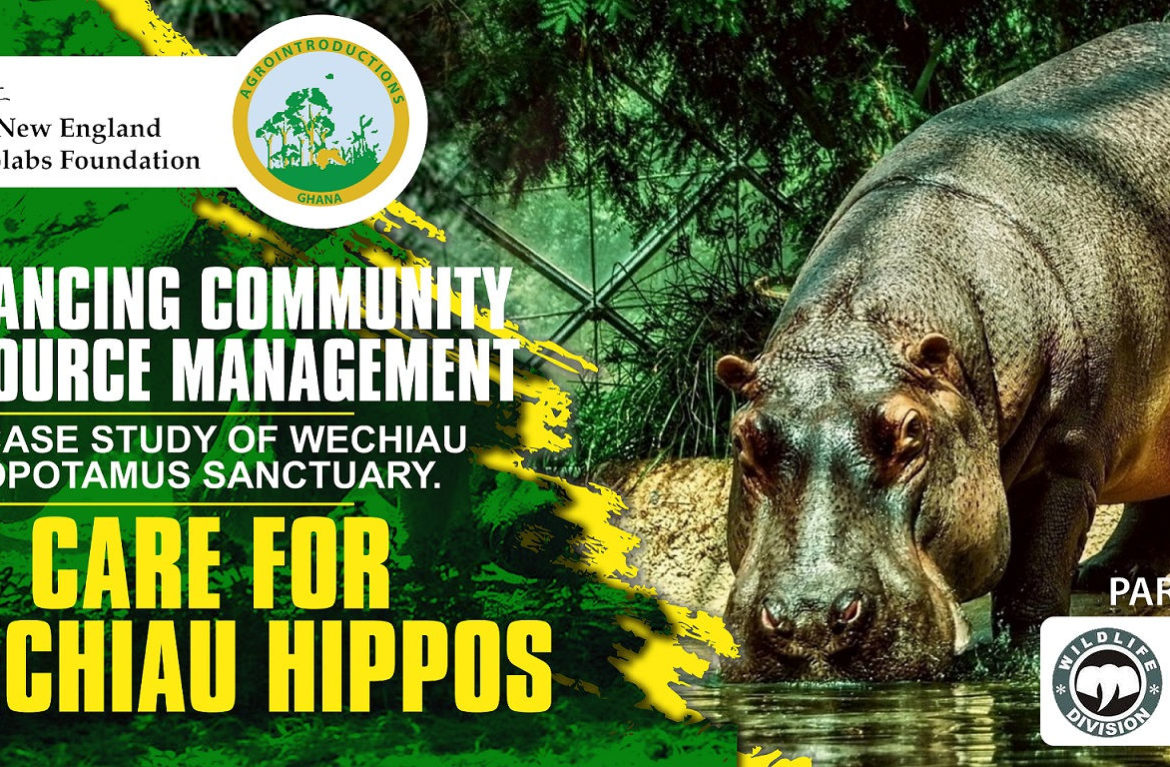 Save The Wechiau Community Hippos Now!