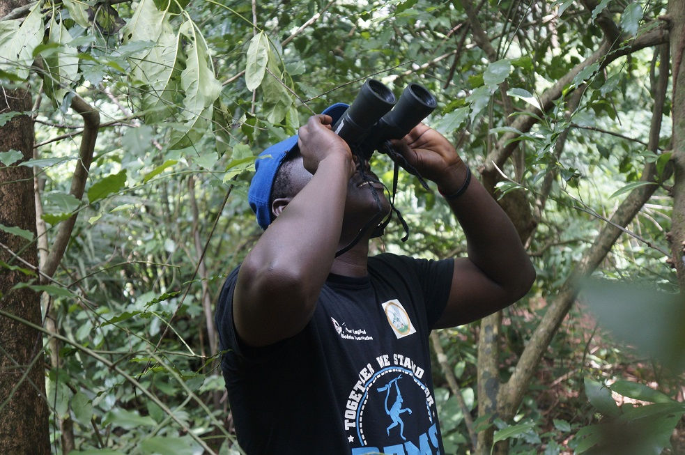 Mounting Camera Traps for Biomonitoring survey of primates in BFMS